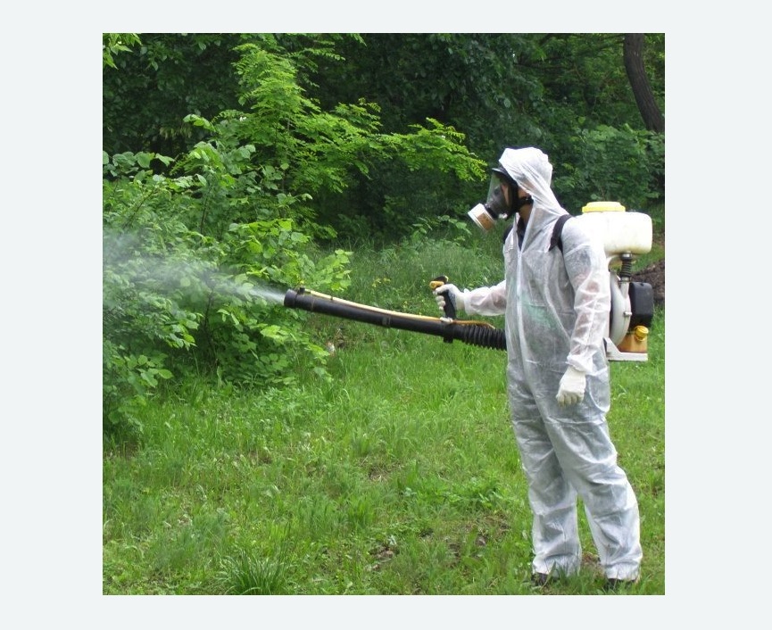 обработка территории от клещей в Каргате