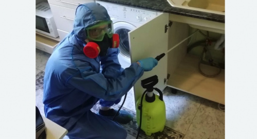 Уничтожение муравьев в квартире. Каргат