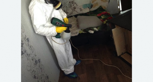 Обработка квартир от насекомых в Каргате