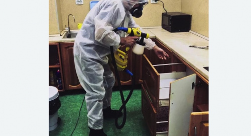 Дезинсекция квартиры. Каргат