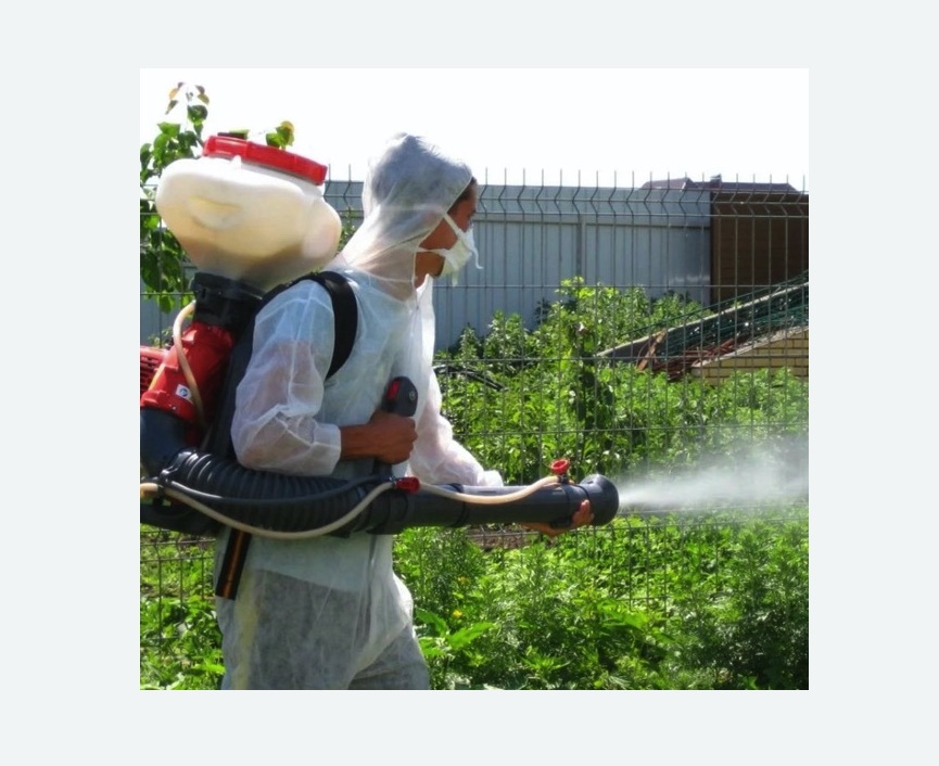 Акарицидная обработка территории в Каргате