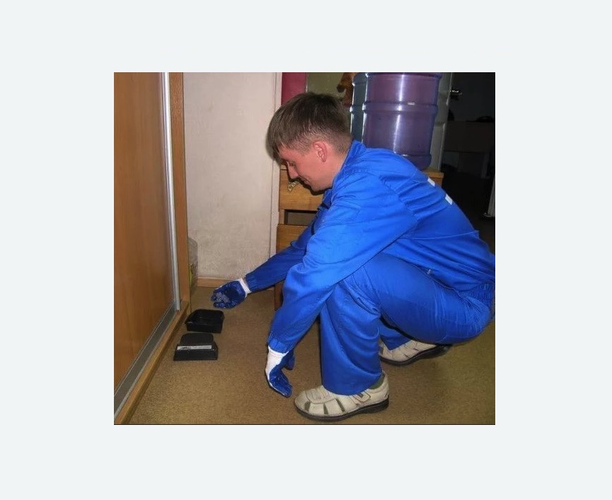 Дератизация крыс Дератизация крыс в Каргате