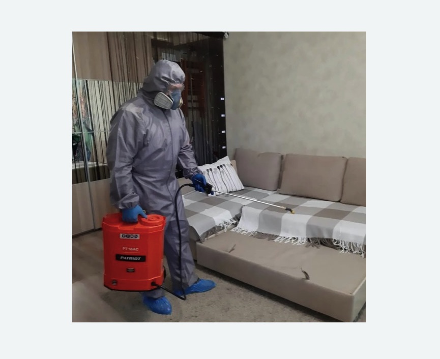 Обработка квартиры от блох в Каргате Обработка квартиры от блох