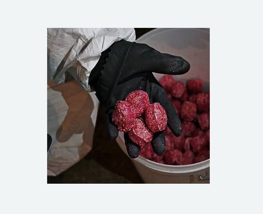 Обработка от крыс Обработка от крыс в Каргате