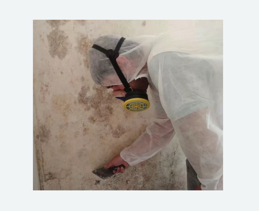Обработка стен от плесени в Каргате