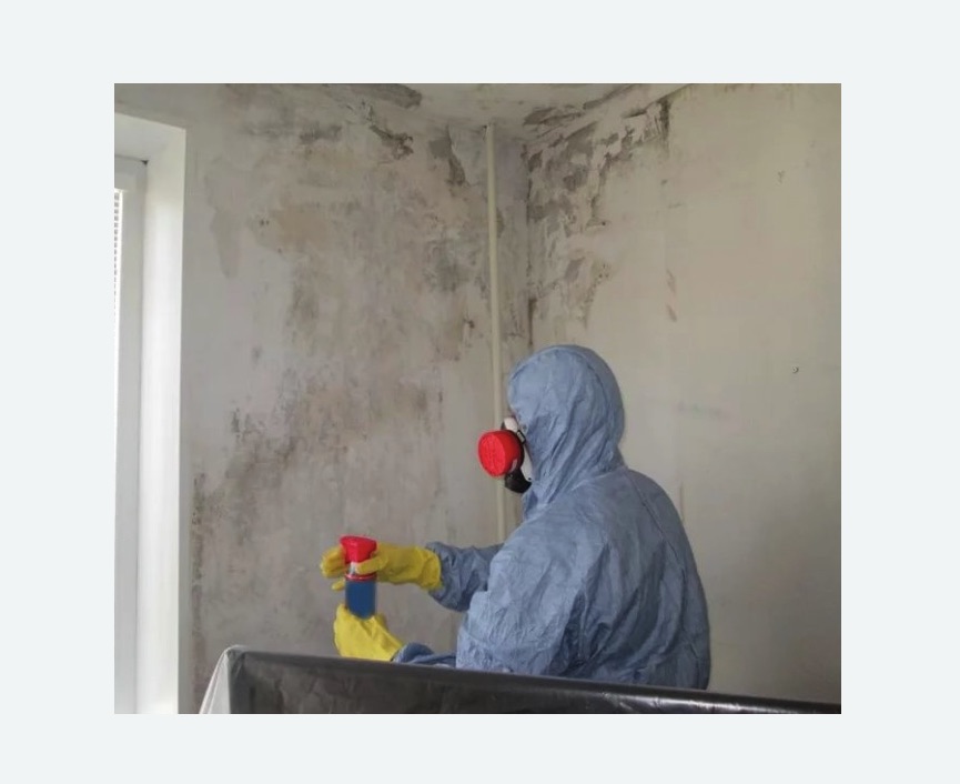 Удаление плесени в квартире в Каргате