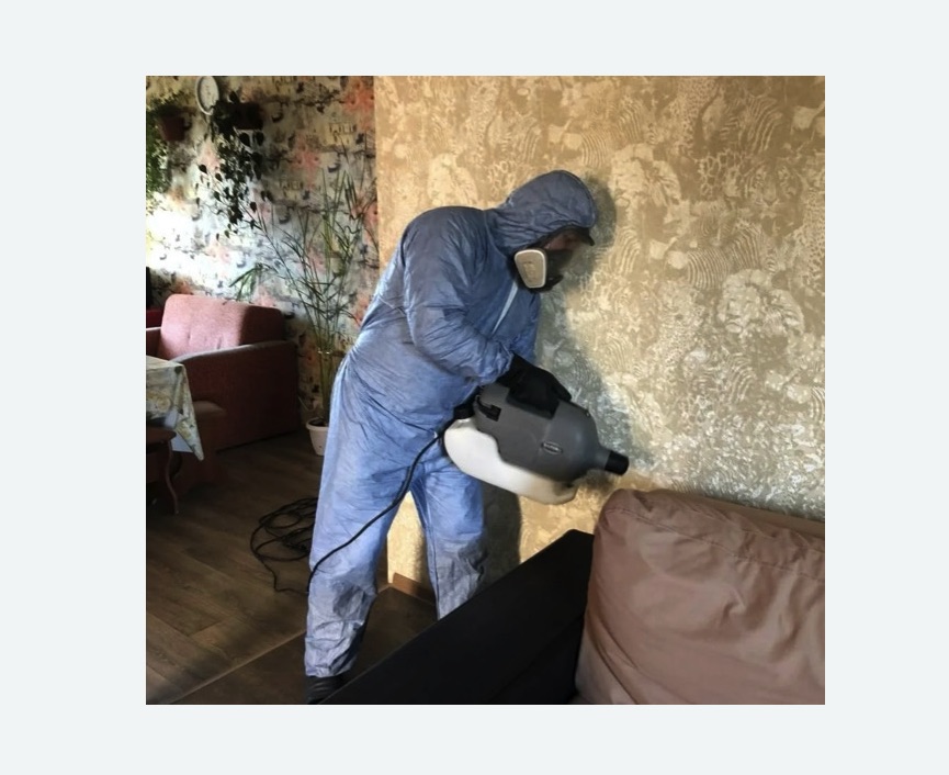 Уничтожение блох в квартире. Каргат Уничтожение блох в квартире