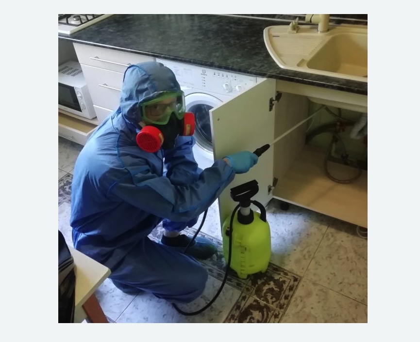 обработка от муравьев в квартире обработка от муравьев в квартире в Каргате