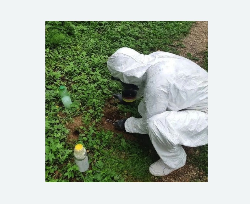 уничтожение кротов на участке уничтожение кротов на участке в Каргате