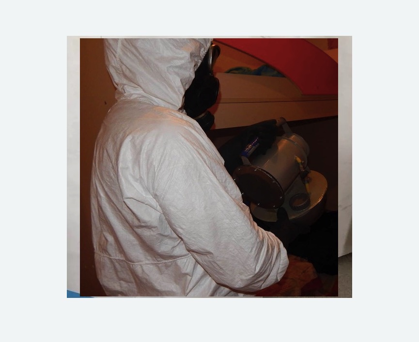 Дезинфекция от муравьев Дезинфекция от муравьев в Каргате