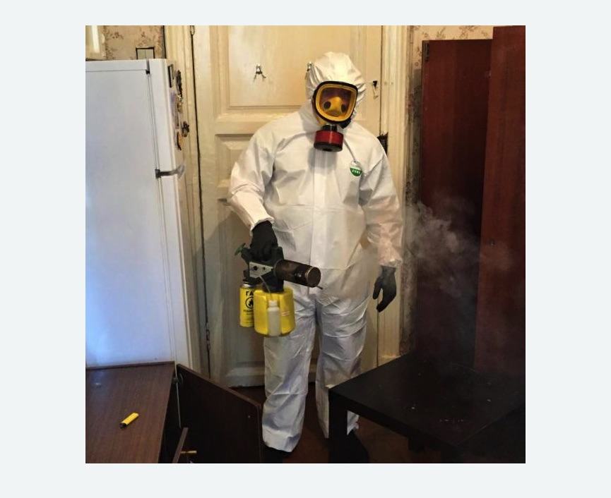 уничтожение муравьев в квартире уничтожение муравьев в квартире в Каргате